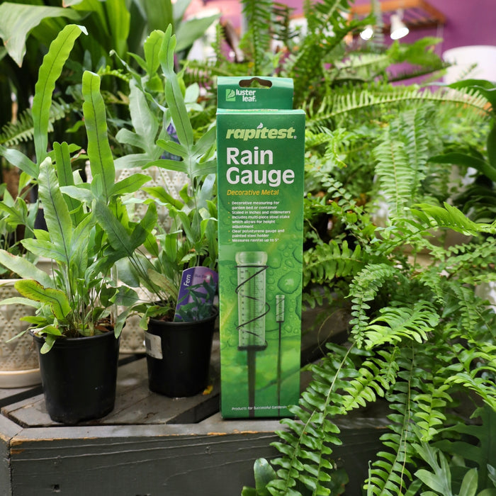 Rapitest Rain Gauge