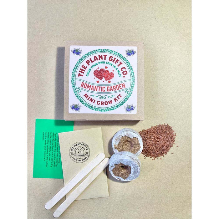 Romantic Garden Mini Grow Kit by The Plant Gift Co. &Keep