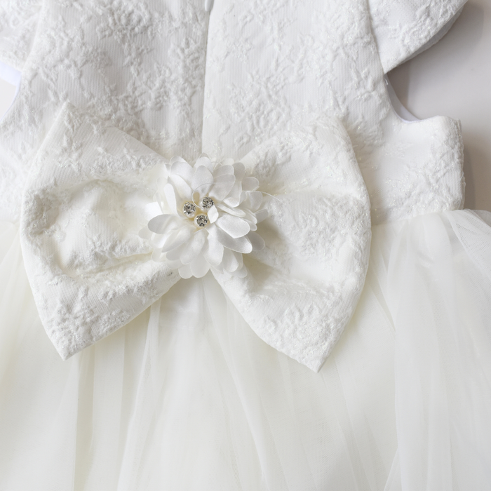 Royal Whispers Formal Baby Dress