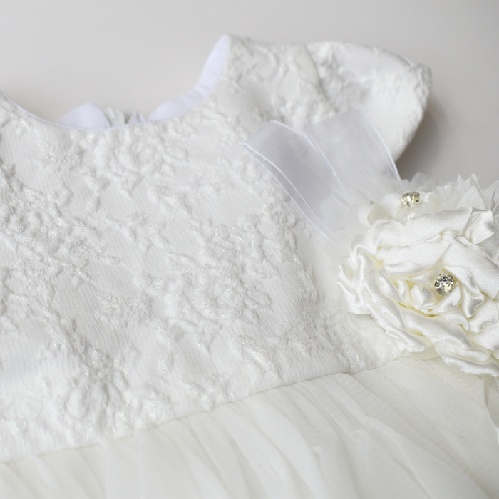 Royal Whispers Formal Baby Dress