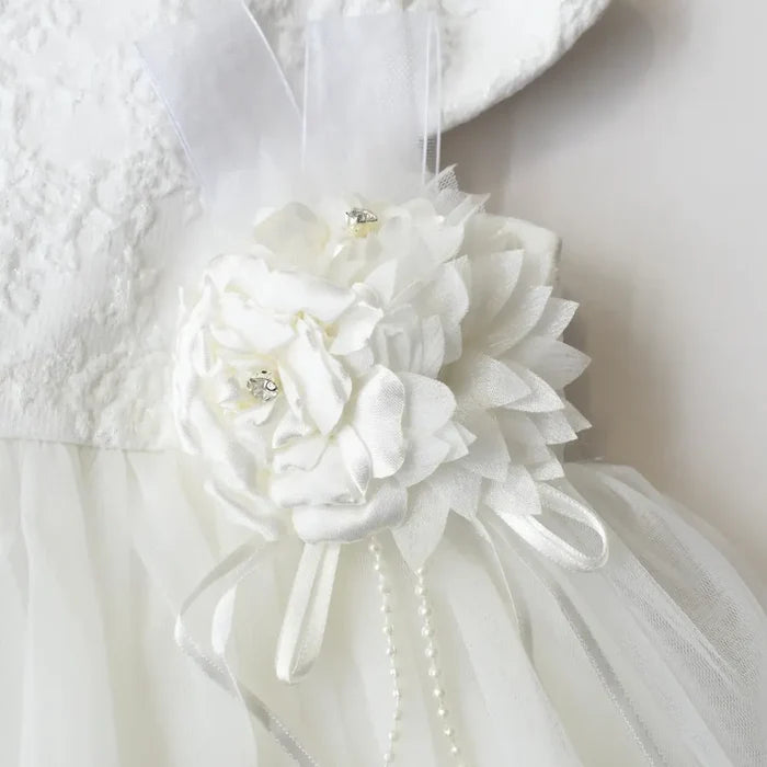 Royal Whispers Formal Baby Dress