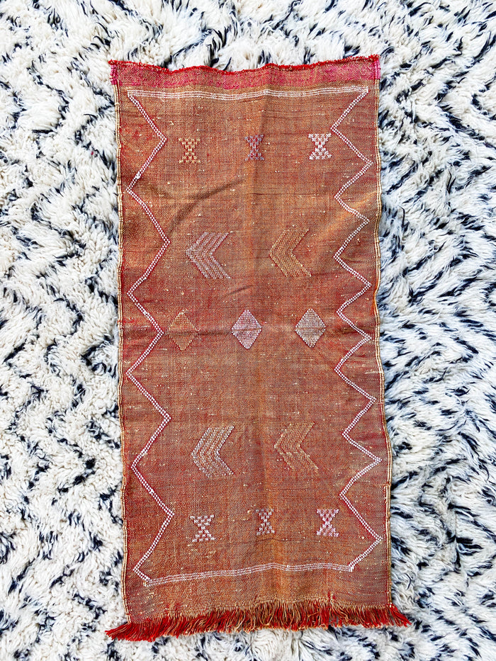 Rust II Artisanal Handmade Moroccan small mini embroidered cactus silk sabra rug in rust orange
