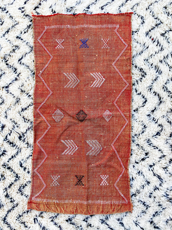 Rust Artisanal Handmade Moroccan small mini embroidered cactus silk sabra rug in rust orange