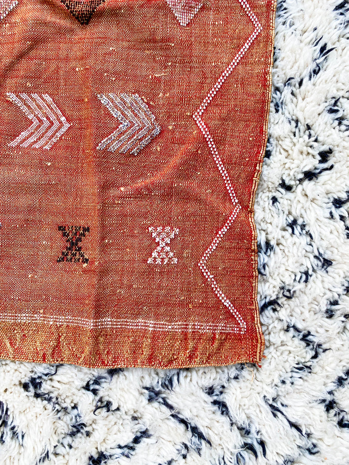 Rust Artisanal Handmade Moroccan small mini embroidered cactus silk sabra rug in rust orange