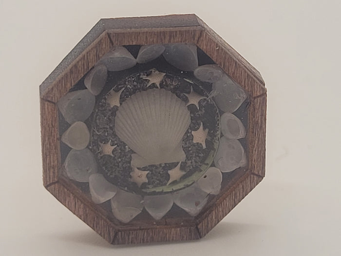 Sailor's Valentine - Clamshell Centerpiece with Stars and Tellin Shells - by Pam Friend