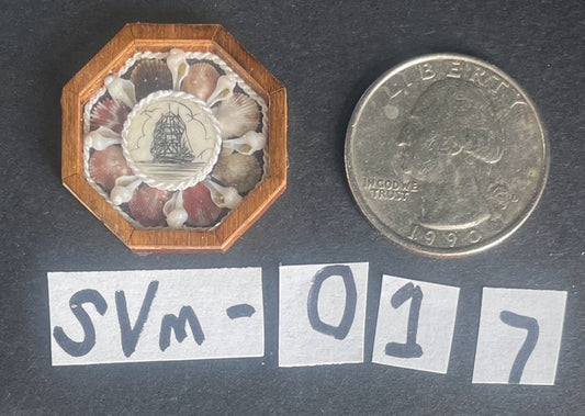 Sailor's Valentine - Ship Emblem with Assorted Clam and Conch Shells - by Pam Friend