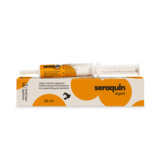 White background with a box and syringe of Seraquin Digest pictured. On the box and syringe is a silhouette of a cat and dog . Text on the box reads 'Helps maintain digestive health and gut flora balance by supporting good bacteria'.