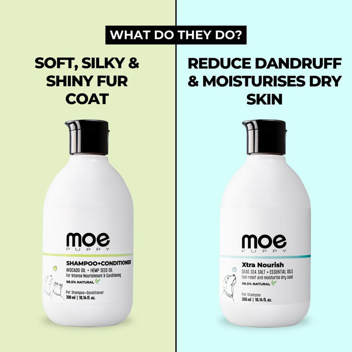 pet shampoo for dogs