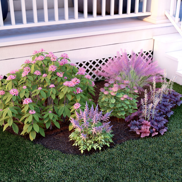 Small Pollinator Garden