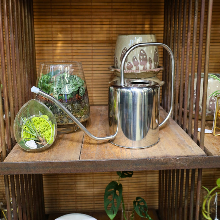 stainless steel watering can modern industrial style on display with whimsical plant accessories