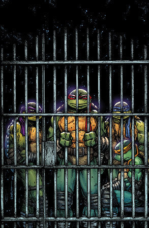 Teenage Mutant Ninja Turtles #11 Variant RI (10) (Eastman Full Art)[1:10]