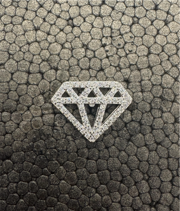 The Nisarga Silver Brooch