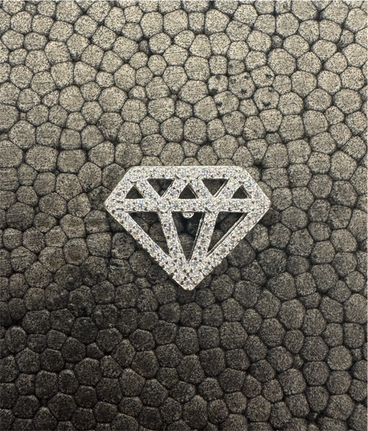 The Nisarga Silver Brooch