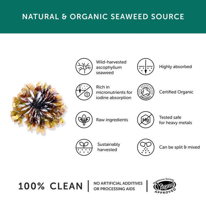 Together Organic Seaweed Iodine Food Supplement Capsules 30s