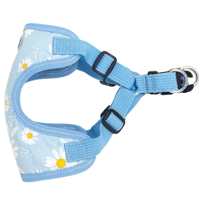 Light blue dog harness with floral pattern on a white background
